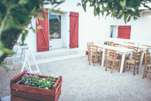 MASSERIA PIANA DELLA MACINA chambre d'hôte Torre Mileto