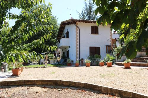 Boscodisotto, Rapolano Terme (foto 8)
