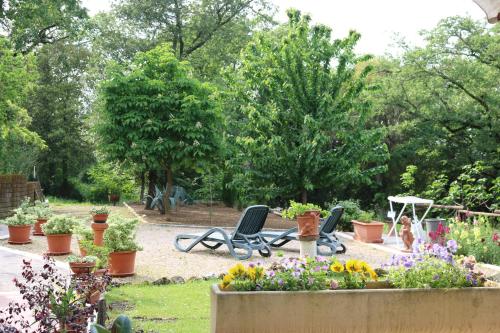 Boscodisotto, Rapolano Terme (foto 6)