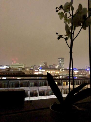Picture of Penthouse Birmingham City View