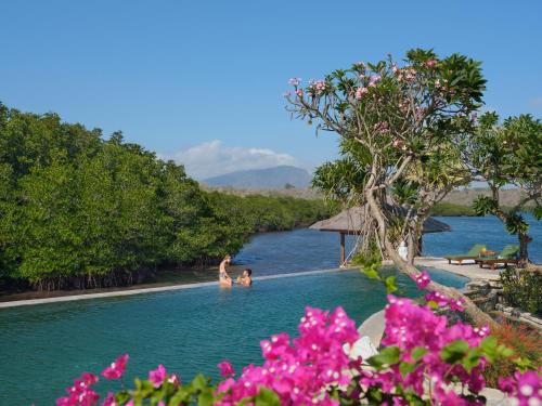 Mimpi Resort Menjangan