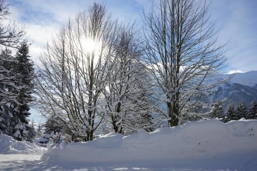 Naturhotel Alpenblick - image 10