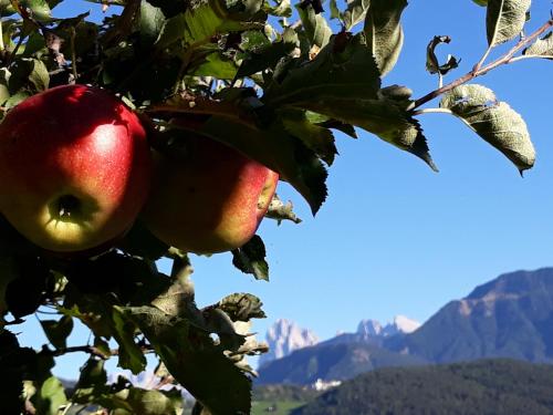 HAUSERHOF - Urlaub auf dem Bauernhof in Villanders mit einzigartigem Ausblick in die Dolomiten