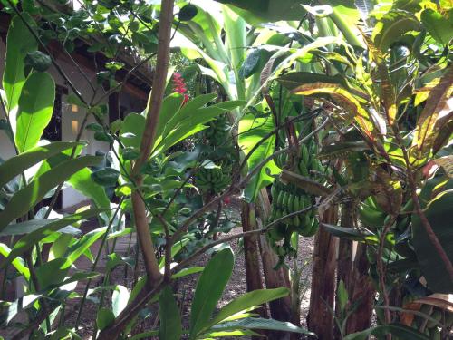 Portal de la Marquesa