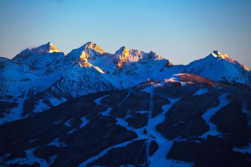 Pension Dachsteinhof - image 4