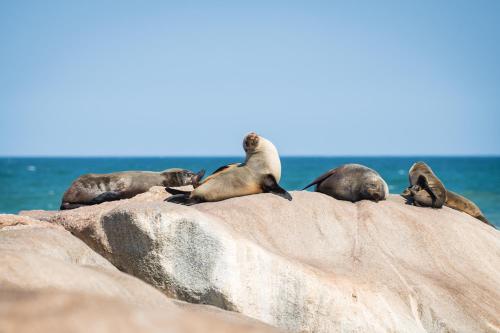 Shipwreck Lodge Shipwreck Lodge
