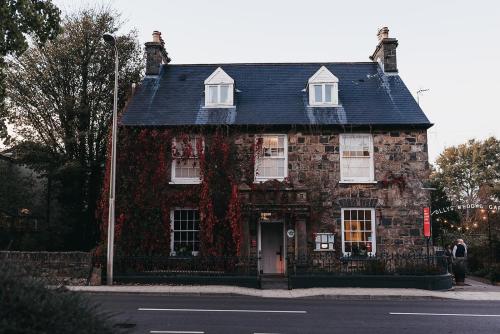 Llys Meddyg - main image