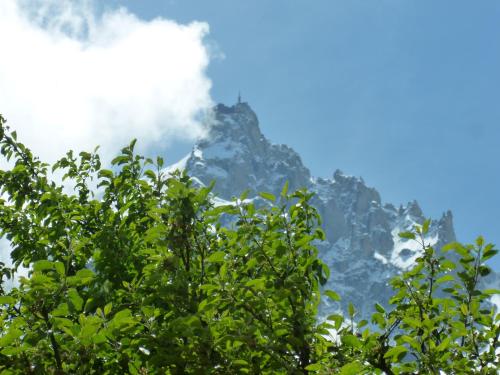 Aiguille du Midi - Hôtel & Restaurant