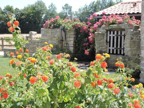 Le Manoir du Pas Jahan photo 19