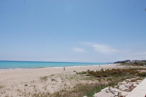 Residencial Guardamar Zeus - image 3