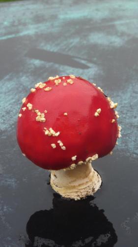 穆森泽勒住宿加早餐旅馆 穆森泽勒住宿加早餐旅馆