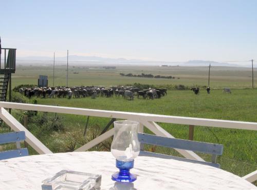 Aloe Cottage in Darling