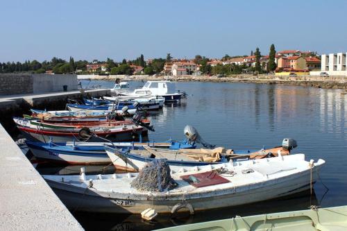 Apartments with a parking space Zambratija Umag - 16297 - image 7
