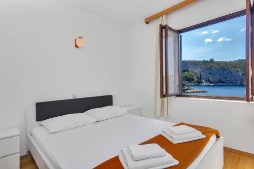 Apartments by the sea Cove Pokrivenik Hvar - 5231 - image 8