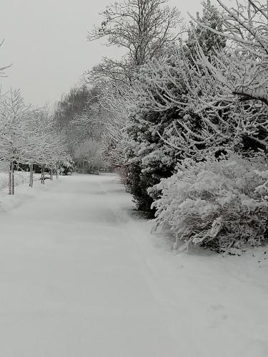 Hotel De Peracker in Waregem