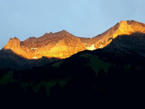 Laubrinus, Adelboden (zdjęcie 5)