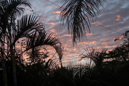 Surrounding environment, Tsunami Hostel in Tamarindo