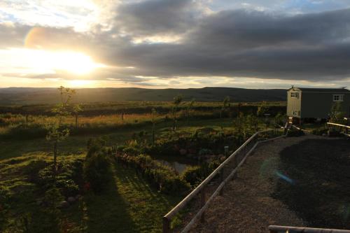 Lizzie off grid Shepherds Hut The Buteland Stop in เซลคริก