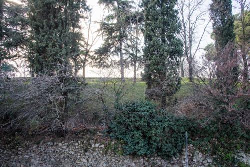 Gabrielli Rooms & Apartments - MARONCELLI 2