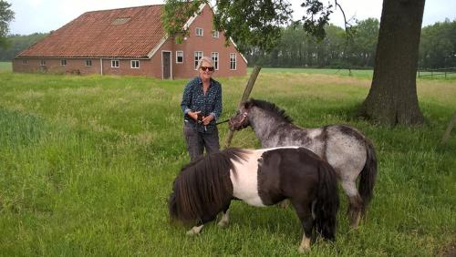 boerderijkamer Zwanebloem