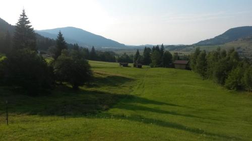 Ferienwohnungen Almrausch - image 7