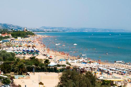 Orsa Maggiore Sud Silvi Vacanza