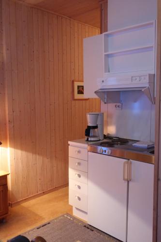 ห้องครัว, Fredheimbrygga in แอนดิเนส