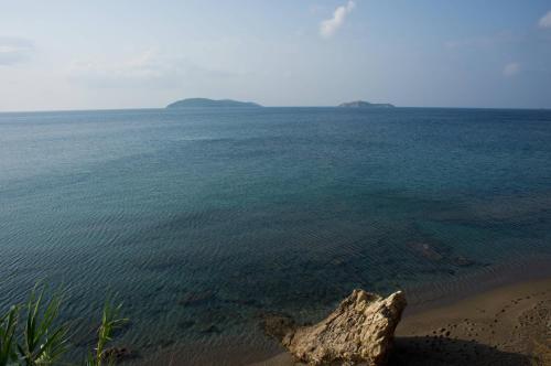 Aphrodite Studios - image 7