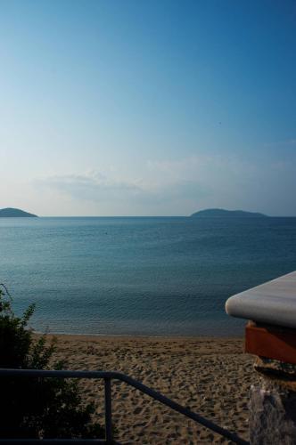 Aphrodite Studios - image 8