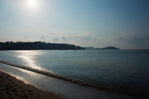 Aphrodite Studios - image 14