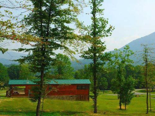 Almost Camping Too Cabin - main image