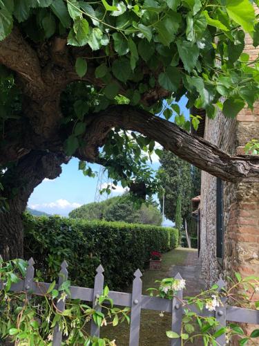 Casa di Romano, Al Tramonto