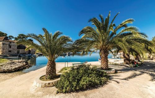 Nina in Otok Veli Drvenik
