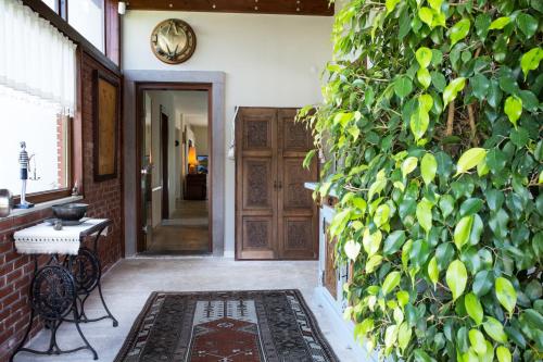 Villa Mertcan by Important Group Travel in Bodrum