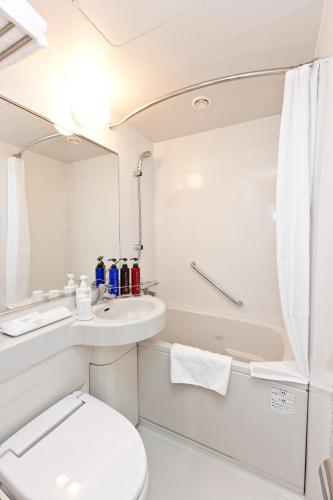 Sotetsu Fresa Inn Shimbashi Hibiyaguchi