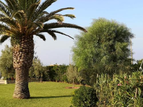 Elmani, Pozzallo (fotografie 7)