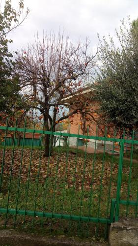 Villa MAMI - Asti Villa MAMI - Asti