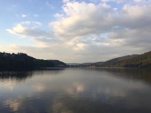 Titisee Haus Vogelnest Titisee Haus Vogelnest