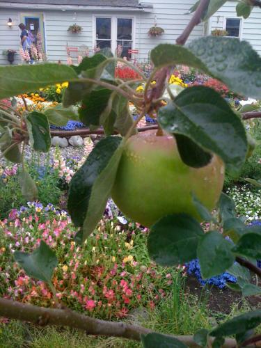 Historic Skagway Inn in Skagway