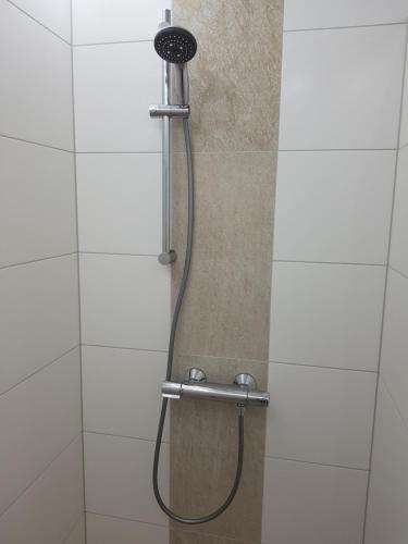 FeWo Lingenfeld - main image