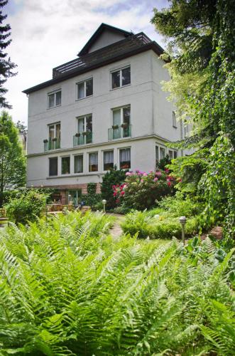 Hotel Helvetia Garni - image 6