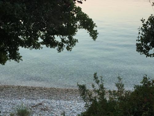 Alonissos beach villa 5 steps away from the sea