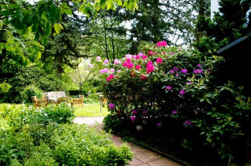 Hotel Helvetia Garni - image 5