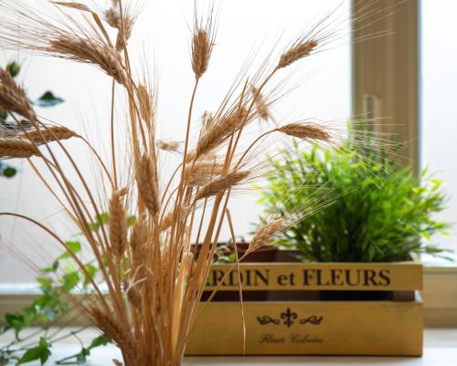 Flaminia 36 Luxury Home - image 9