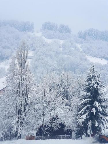 Apartments Popovic in Kolasin