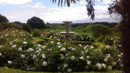 Näkymä, Shurinji in Kaitoke
