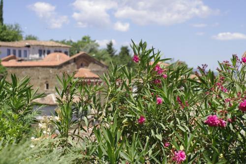 Terrace Houses Sirince