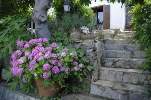 Terrace Houses Sirince