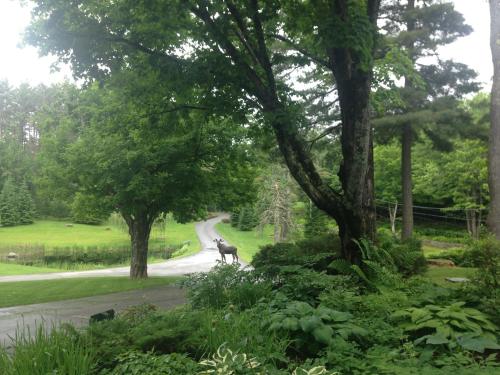 Adair Country Inn & Restaurant - image 7