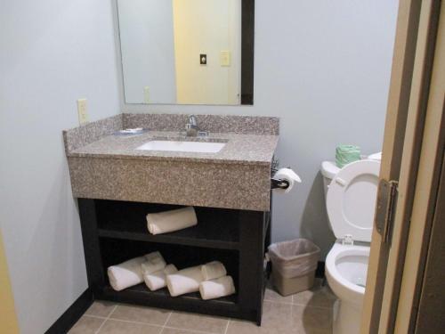Motel 6 Shartlesville, PA - 화장실